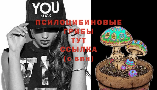 синтетический гашиш Беломорск