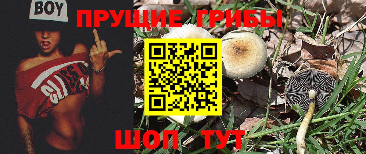 Псилоцибиновые грибы MAGIC MUSHROOMS Россия