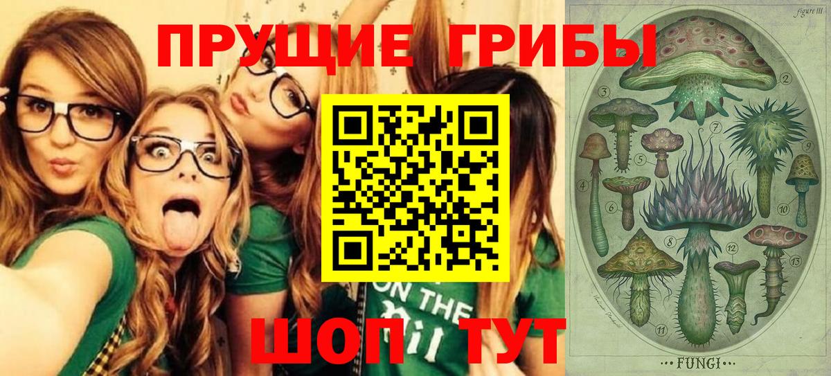 Галлюциногенные грибы ЛСД  Вход с VPN  Россия  Псилоцибиновые грибы MAGIC MUSHROOMS 