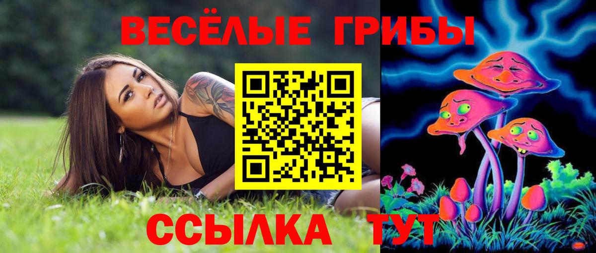 Галлюциногенные грибы мухоморы Россия