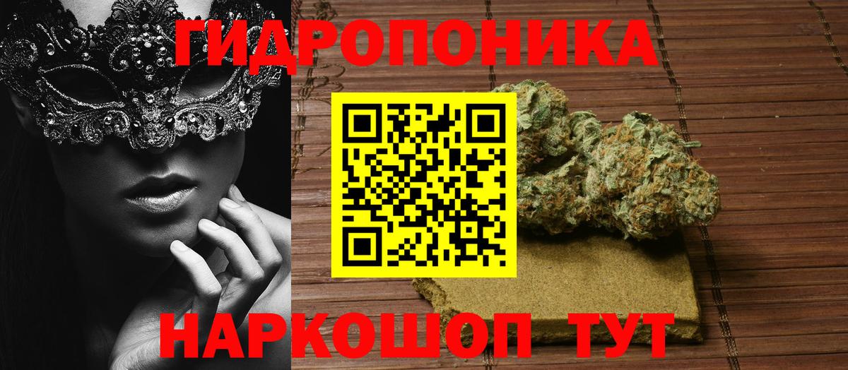 Бошки Шишки марихуана Россия